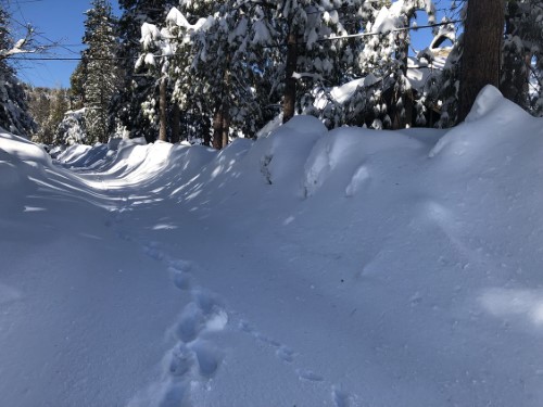 1490dcf3-725e-66e1-8c04-952c7ceeb38e