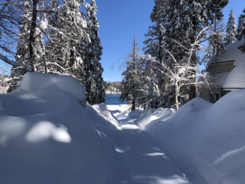 8cfd2bbc-2685-ef4c-6026-4343d7b0f3f8