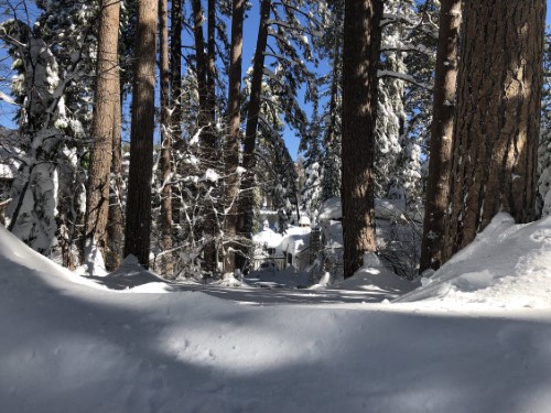 9bcd5229-1cce-4ba1-5b0e-2c70392ccb7e