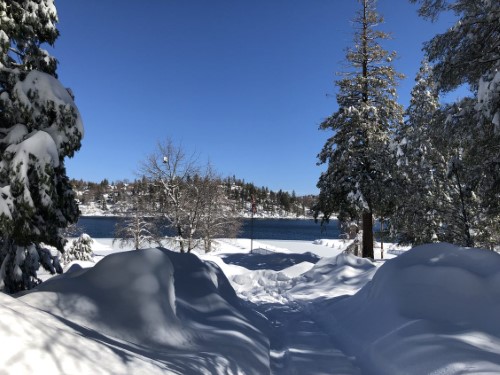 b185a117-a80f-510e-f727-fc1d7334bded