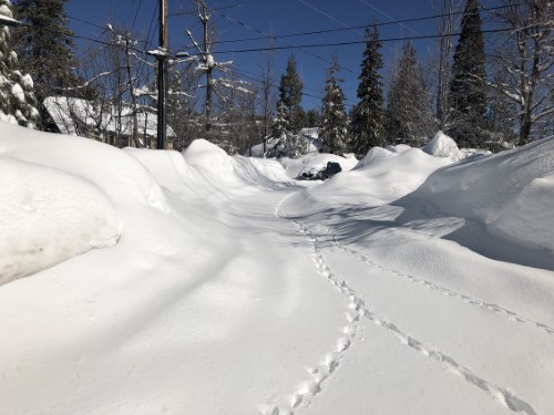 b281965b-ff25-c427-f827-77c8026c1869