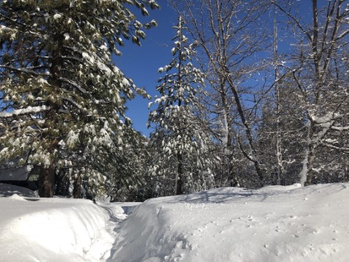 bae1a30a-e80e-b9c5-a565-221d80115257