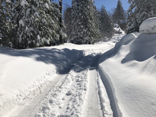 bf573f7d-02f6-7023-91f7-c27a0a5cb314